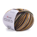 Пряжа Cloud YARNART